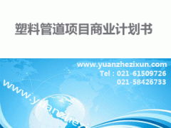 專業項目投資融資計劃書撰寫服務 中英文版本與全方位咨詢支持